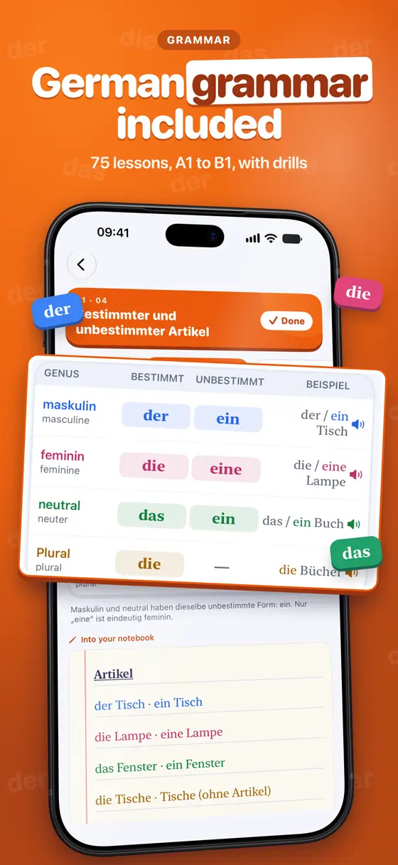 A German grammar lesson on the definite and indefinite article with der, die and das in colour.